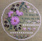 Daisy Chain - Creative Series - Embroidery and Cross Stitch Pattern - PDF Download